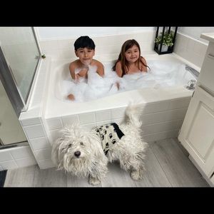 Meet your Posher, Oscar freddy